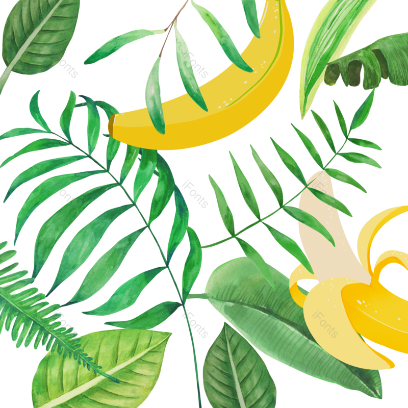 夏至图片,夏天元素,水果PNG,树叶免抠素材